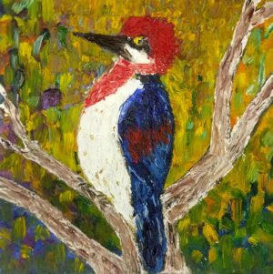 Napoleon’s Woodpecker 15×15 cm (6×6 in), oil, impasto(a6)